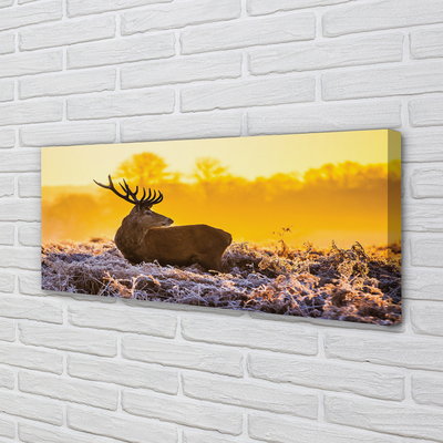 Quadro su tela Deer Winter Sunrise