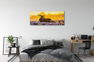 Quadro su tela Deer Winter Sunrise