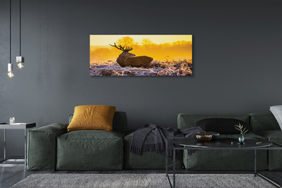 Quadro su tela Deer Winter Sunrise