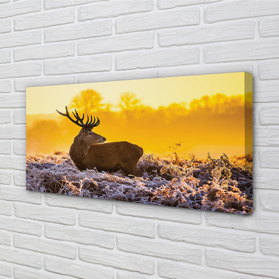 Quadro su tela Deer Winter Sunrise