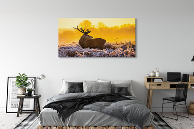 Quadro su tela Deer Winter Sunrise