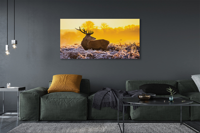 Quadro su tela Deer Winter Sunrise