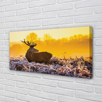 Quadro su tela Deer Winter Sunrise