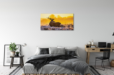 Quadro su tela Deer Winter Sunrise