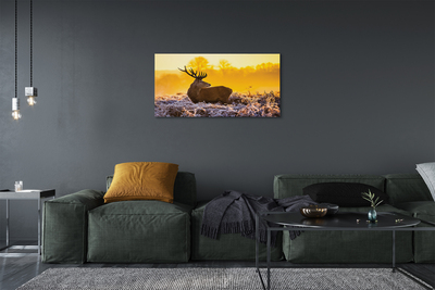 Quadro su tela Deer Winter Sunrise