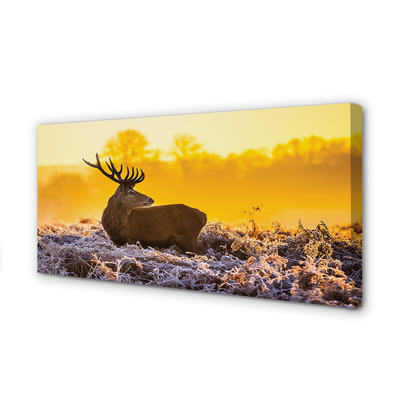 Quadro su tela Deer Winter Sunrise