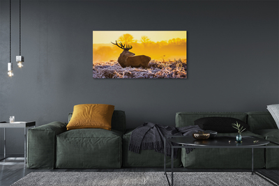 Quadro su tela Deer Winter Sunrise