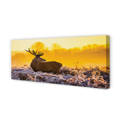 Quadro su tela Deer Winter Sunrise