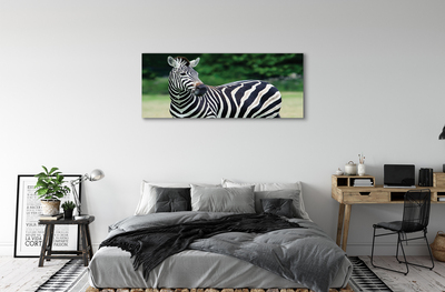 Quadro su tela Campo zebra