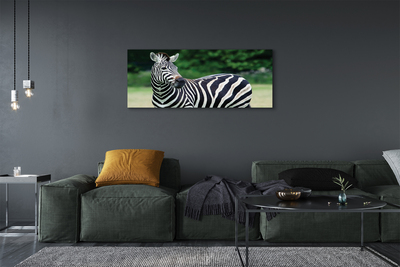 Quadro su tela Campo zebra