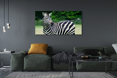 Quadro su tela Campo zebra