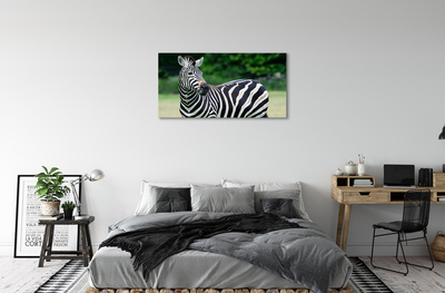 Quadro su tela Campo zebra