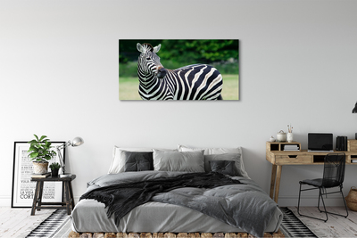 Quadro su tela Campo zebra