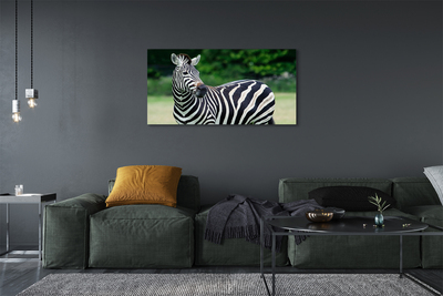 Quadro su tela Campo zebra