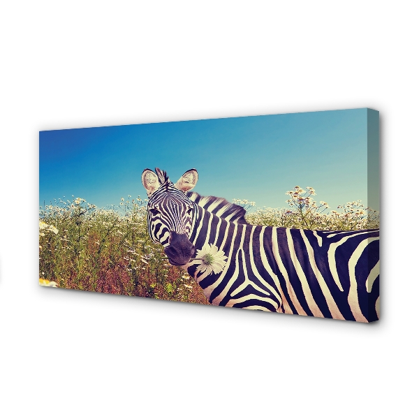 Quadro su tela Fiori zebra