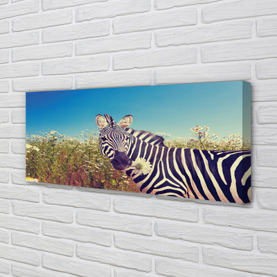 Quadro su tela Fiori zebra