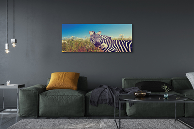 Quadro su tela Fiori zebra