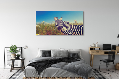 Quadro su tela Fiori zebra