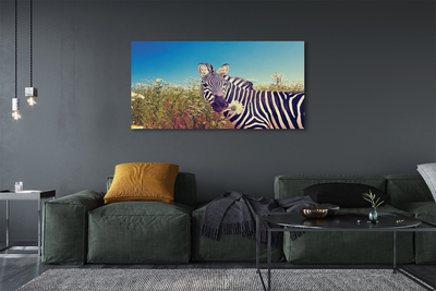 Quadro su tela Fiori zebra