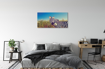 Quadro su tela Fiori zebra