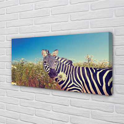 Quadro su tela Fiori zebra