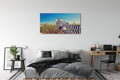 Quadro su tela Fiori zebra