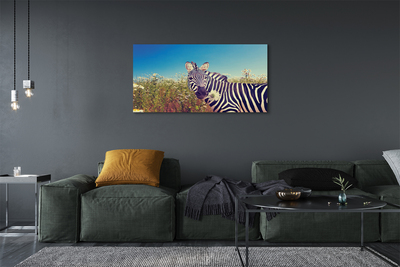 Quadro su tela Fiori zebra