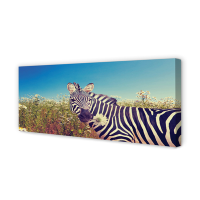 Quadro su tela Fiori zebra