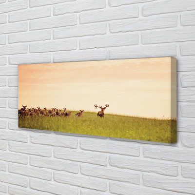 Quadro stampa su tela Herd Deer Field Sunrise