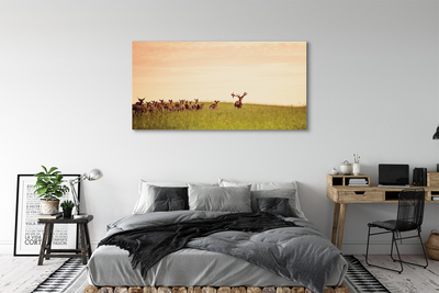 Quadro stampa su tela Herd Deer Field Sunrise