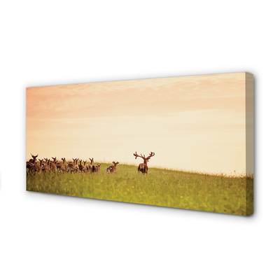 Quadro stampa su tela Herd Deer Field Sunrise