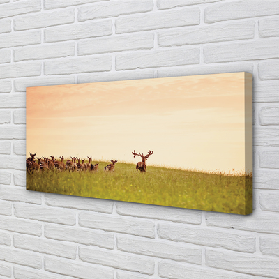 Quadro stampa su tela Herd Deer Field Sunrise