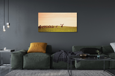 Quadro stampa su tela Herd Deer Field Sunrise