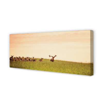 Quadro stampa su tela Herd Deer Field Sunrise