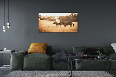 Quadro su tela Zebra Field Sunset