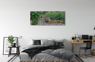 Quadro su tela Foresta di tigre