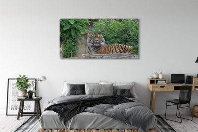 Quadro su tela Foresta di tigre