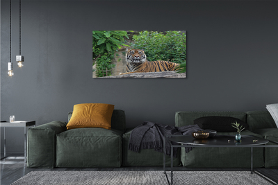 Quadro su tela Foresta di tigre