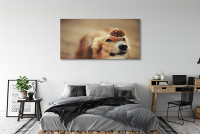 Quadro su tela Cupcake per cani