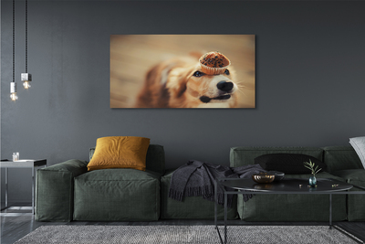 Quadro su tela Cupcake per cani