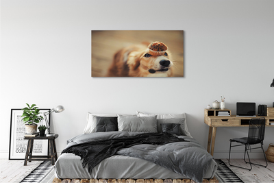 Quadro su tela Cupcake per cani