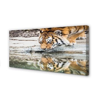 Quadro su tela Bere tigre