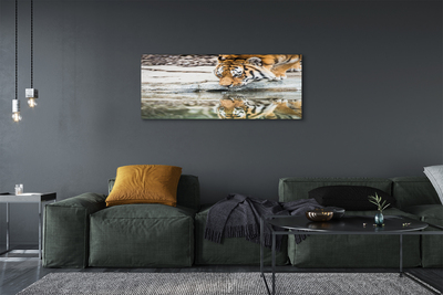 Quadro su tela Bere tigre