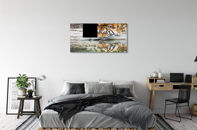 Quadro su tela Bere tigre