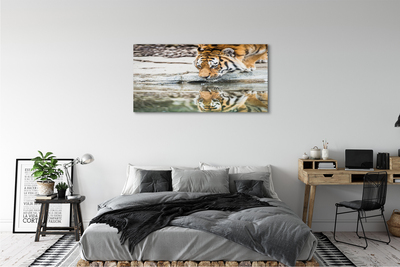 Quadro su tela Bere tigre