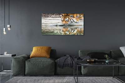 Quadro su tela Bere tigre