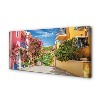 Quadro stampa su tela Grecia Flowers Buildings Mountain