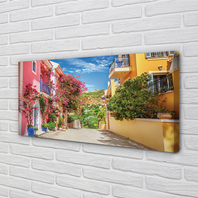 Quadro stampa su tela Grecia Flowers Buildings Mountain