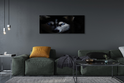 Quadro su tela Eyes Wolf