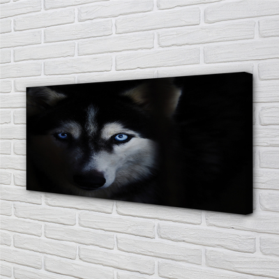 Quadro su tela Eyes Wolf